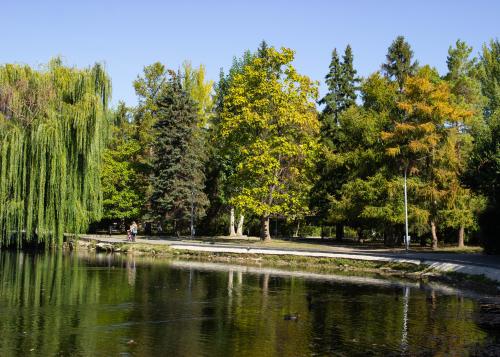 ������� ���������