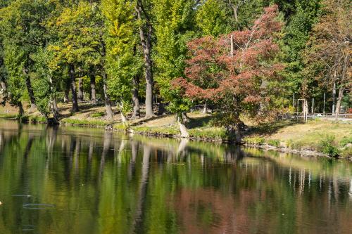 ������� ���������