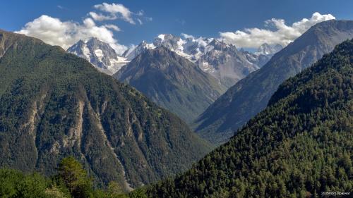 ��� ��� �� �������