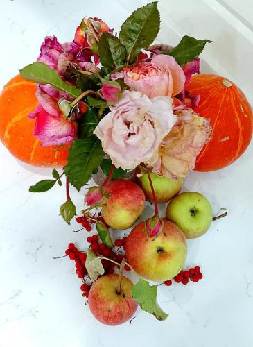 ��������� ������ ����� 