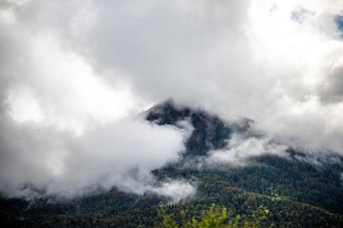 ������� � �������