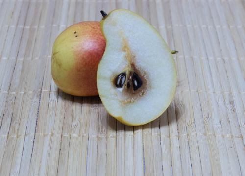 ������ ������ �����