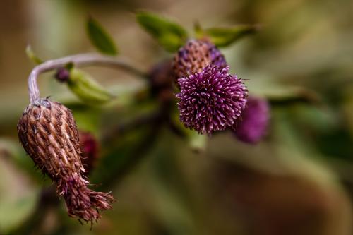 �������������