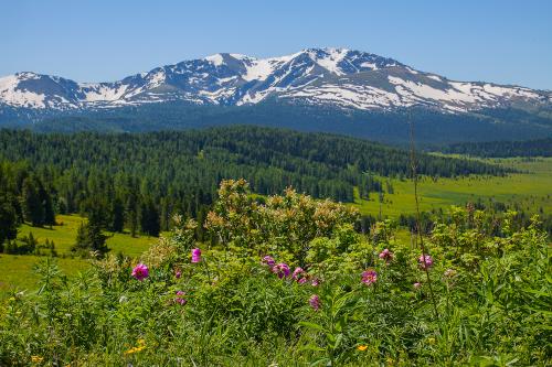 ������ ������ � ���� �������