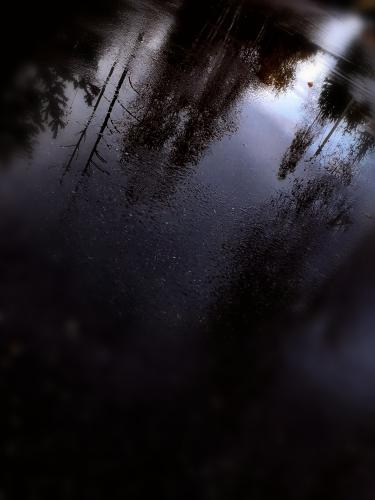 � ��������� �����