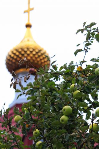 �������� ����