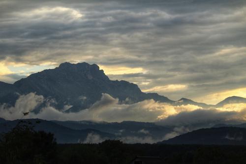 �������������� �����