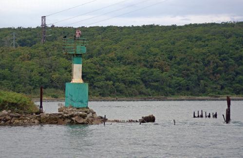 ������ ����