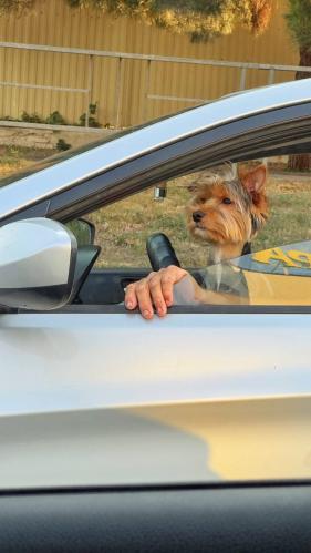 ���������� �������� �� �����!