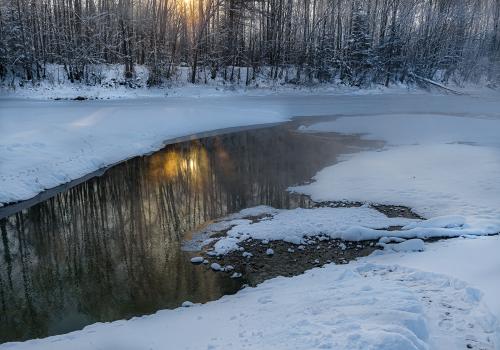 ��������� ���������