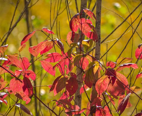 ������������ �����