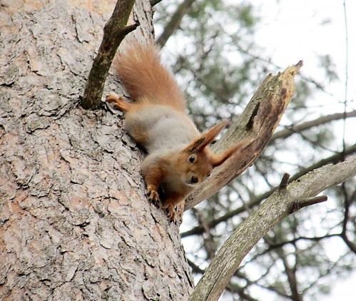 ��� � ���