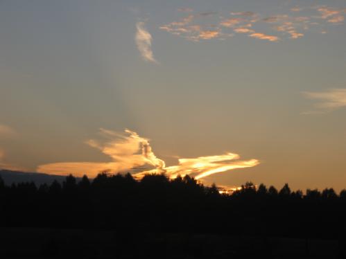 ���-�����