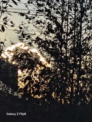 ������ � ������� 