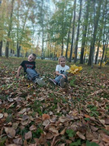 ���� �����