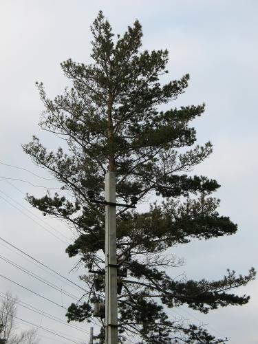 �����-�����