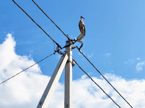 ������� �����������.