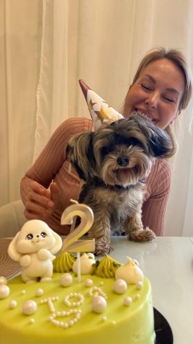 ���� ��������