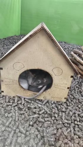 � ������