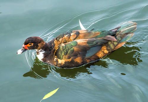 ������������