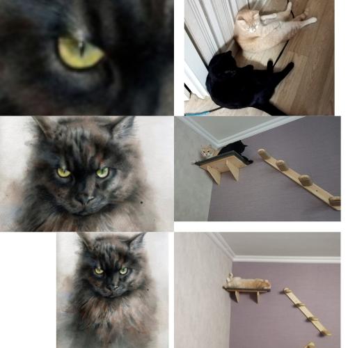 �������� ���