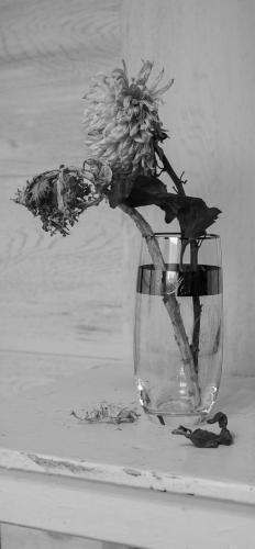 ������� ������.