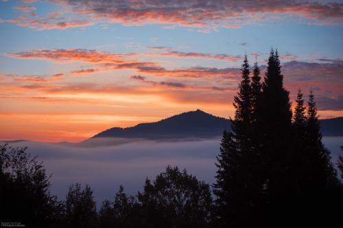 ������� � �����