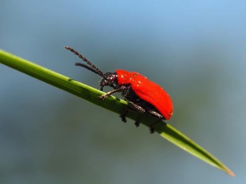 �������� �����