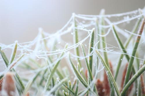 �������� �������