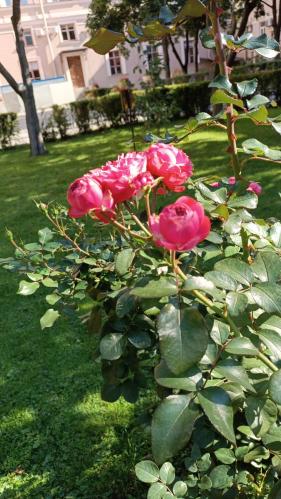 ���� � �����