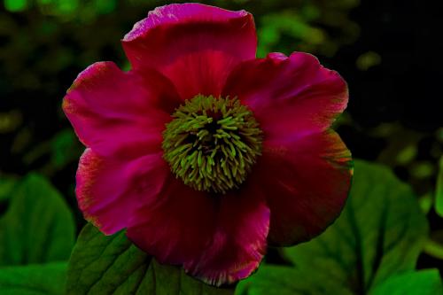 ����������� ������� ������ 3