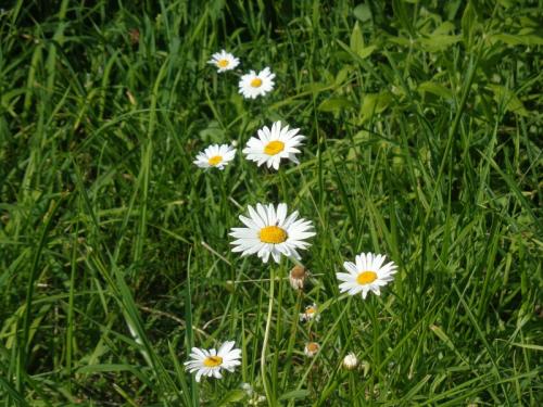 ���������� �������