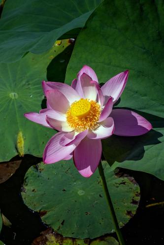 ��������� ������