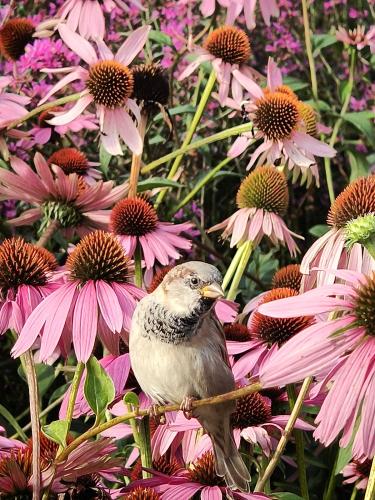 ������ ������ �������  )) 