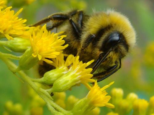 �������.