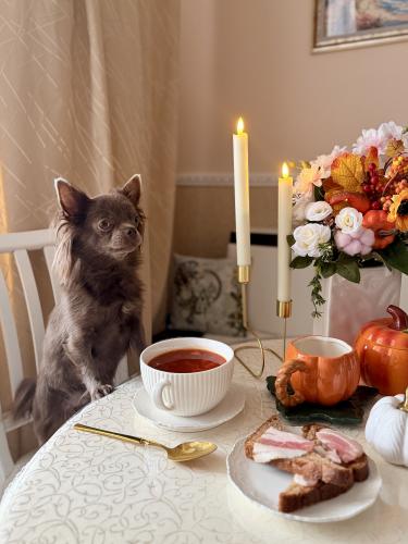 ����������� �� ����