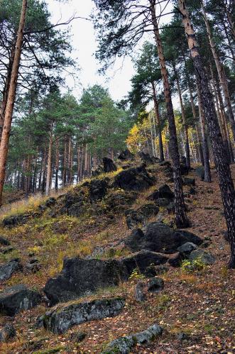 ������� ���