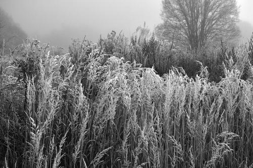 ������� �����