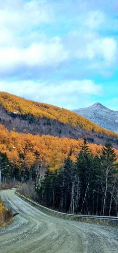 ������� ������ ����