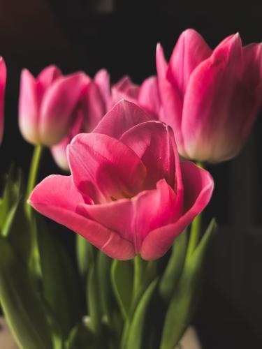 �������� ��������