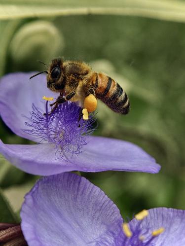 ���������� ��������: � �������