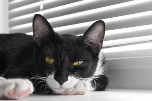 � ���������