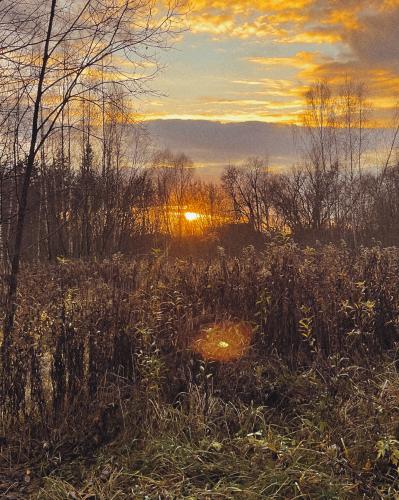 ������ �����