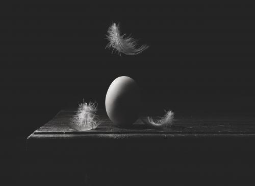 ˸������