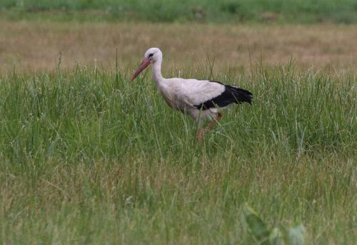 ���� � ����