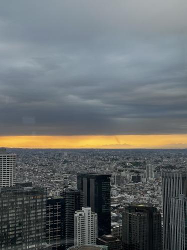 ����� ������������� ������