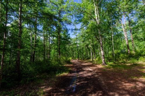 �� ������ �������.