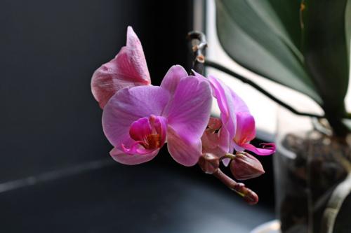 �������� � ����� ������....