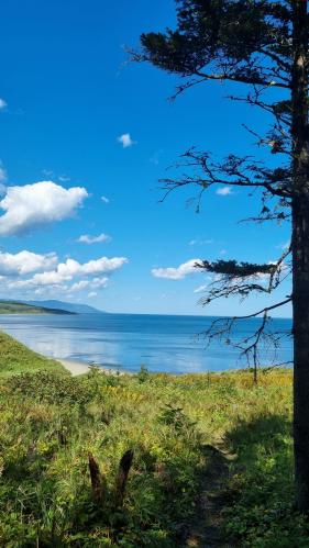 ����������� ��������