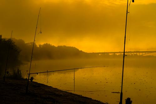 �����, ����������� ���� 